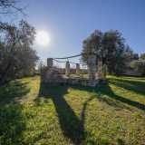 L�ultima tappa della nostra esplorazione � nel secondo appezzamento situato di fronte alla masseria, l� dove si trova un�ulteriore struttura realizzata con la tecnica del muretto a secco