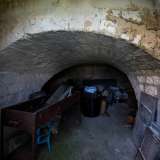 ...che custodisce un frantoio ipogeo, purtroppo non accessibile