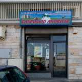 ...salutiamo la famiglia gioiese e proseguiamo il nostro giro spostandoci all�inizio di strada San Giorgio Martire, l� dove si trova il �Caseificio Andriese