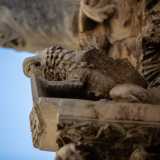 Richiama i motivi tipici dell�epoca: due colonne laterali con leoni, una cornice a foglie e un bestiario decorativo medievale costituito da elefanti e grifoni