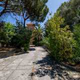 �Abbiamo palme, pini mediterranei, gelsi e l�albero di Giuda - ci racconta la proprietaria Francesca Telio, che ha rilevato la villa nel 2010 -. Alcune piante sono state aggiunte da noi, ma la maggior parte risale a quando la villa fu costruita�