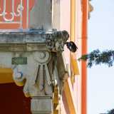...per le decorazioni liberty...