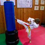 ...e un mawashi geri (calcio circolare)