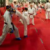All�interno della palestra ad ambiente unico notiamo poi per terra il tatami sul quale si allenano ragazzi e ragazze vestiti di bianco con cinture colorate