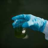 �Dobbiamo assicurarci che la spirulina stia crescendo sana e forte - sottolinea il chimico -. Solo quando � diventata �adulta� viene infatti separata dall�acqua, attraverso un setaccio chiamato vibrovaglio...