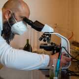 ...per essere controllato al microscopio