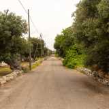 Da questo punto parte un lungo viale asfaltato puntellato da ulivi secolari che circondano la residenza per quasi sette ettari