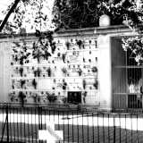 A guerra finita l�uomo torn� nel capoluogo pugliese dove mor� pochi anni dopo, per essere seppellito in un angolo dimenticato del cimitero cittadino