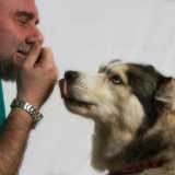 �Pap�, classe 1960, si laure� in medicina veterinaria e all�et� di 24 anni apr�, in societ� con il chirurgo veterinario Gianfranco Pastorelli, la �Croce Azzurra��, esordisce la giovane
