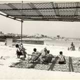 ...attivo dall�inizio degli anni 50