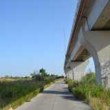 La stradina che costeggia la tratta sopraelevata della Ferrovia Bari Bitritto e il canale Picone, costellata di rifiuti. Questa stradina, oggi senza uscita, arrivava un tempo fino a Carbonara 