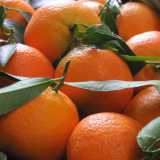 I frutti ibridi pi� conosciuti: le clementine, incroci tra arance e mandarini