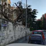 A partire dall�inizio degli anni 60 tutto cambia: la famiglia Amoruso Manzari, proprietaria della maggior parte dei terreni qui presenti decide di investire nel cemento. Si aprono strade e vengono costruiti nuovi appartamenti circondati da verde e cortili  