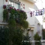 Le pupe di pezza della Quaresima (Le p�pe de p�zze de la Quarand�ane) di Casamassima (BA) (Foto di Nicola LARICCHIA)