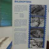 Il cartello che descrive la scoperta avvenuta in Lama Lamasinata il 27 luglio del 1968