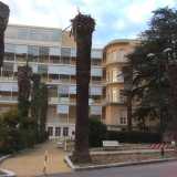 Resti di palme nei giardini del Policlinico