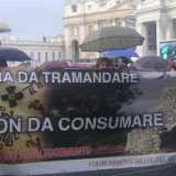 Alcuni componenti del Movimento di tutela degli ulivi e dei paesaggi di Puglia mostrano uno striscione di protesta in piazza San Pietro.