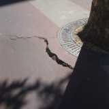 Pista ciclabile Viale Unit� d'Italia - Viale della Repubblica