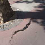 Pista ciclabile Viale Unit� d'Italia - Viale della Repubblica