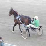 I cavalli e i loro �driver� si stanno allenando in preparazione alla gara