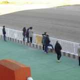 Molti spettatori si spostano pi� vicino alla pista per osservare attentamente la gara