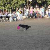 Festa del Cane a Palo del Colle