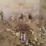 Basole ammassate e distrutte