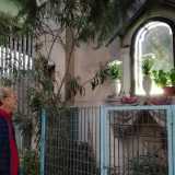 Da trent�anni a questa parte ogni �santa domenica� Emanuele si occupa di ripulire l�altarino, cambiare l�acqua alle piante e omaggiare la Madonna con rose e garofani