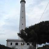 Il viale che porta la faro