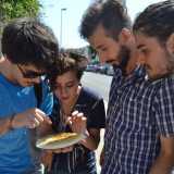 Giulio e i suoi amici esaminano il favo