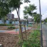 Enorme giardino attrezzato. Forse sarebbe stato meglio destinare una parte del suolo a parcheggio