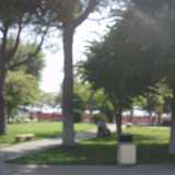 Vista del giardino interno