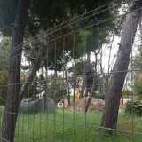 Lavori nella pineta