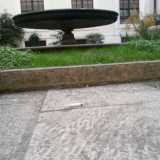 Foto siringa n.1 vicino fontana