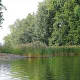 Il parco di Seurasaari