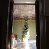 Passiamo per una grande sala che sotto l'ennesimo soffitto affrescato vede innalzarsi un vistoso albero di Natale, elemento di modernit� posizionato in mezzo a tanta storia