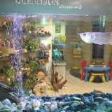 L'acquario di 450 litri del signor Gennaro, propietario di un negozio di acquari a Bari