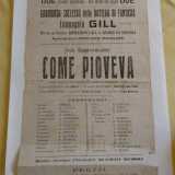 Uno manifesto del Giardino Modernissimo affisso nel 1924