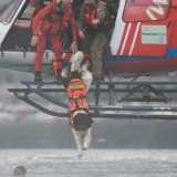 Il tuffo di Bal� dall'elicottero