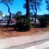 Verde in Comune