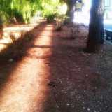 Verde in Comune