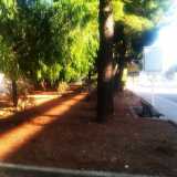 Verde in Comune