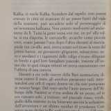La prima pagina del racconto "Le due Bari"