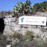 I due stendardi del Gruppo speleologico Vespertilio - Bari e di Legambiente significativamente accostati sull'ingresso di un vano ipogeo del complesso La Caravella