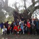 Nordic Walking,allenarsi immergendosi nella natura
