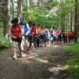 Nordic Walking,allenarsi immergendosi nella natura