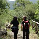 Nordic Walking,allenarsi immergendosi nella natura