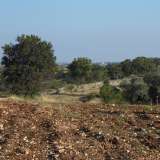 La particella di terra, di propriet� del Comune di Rutigliano, che sta bloccando i lavori per il depuratore che porter� le acque reflue di Casamassima in Lama San Giorgio a Rutigliano