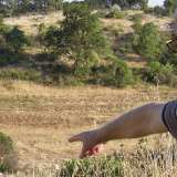 Gianni Nicastro, portavoce del Comitato per la Tutela di Lama San Giorgio, indica il vallone Guidotti,a Rutigliano, dove sfocer� il tubo del depuratore di Casamassima
