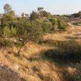 Panorama di Lama San Giorgio, nei pressi della chiesa rurale dell'Annunziata a Rutigliano
